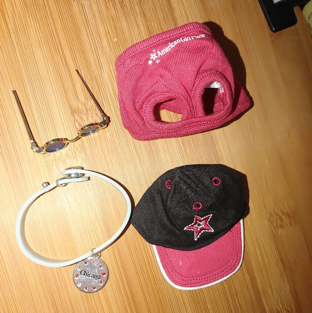 ʕ·ᴥ·ʔ American Girl Doll Pet Accessories